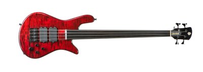 Spector Fretless